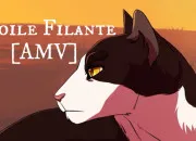 Quiz LGDC - toile Filante
