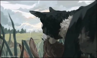 Qui est son meilleur ami ?