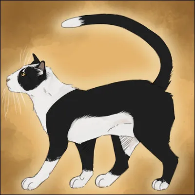 Étoile Filante a tué un de ces chats : lequel ?