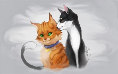 Que lui annonce le Clan des Étoiles à propos de son ami Caramel ?