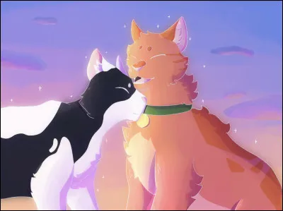 Quel était le surnom que Griffe de Taupe donnait à Étoile Filante ?