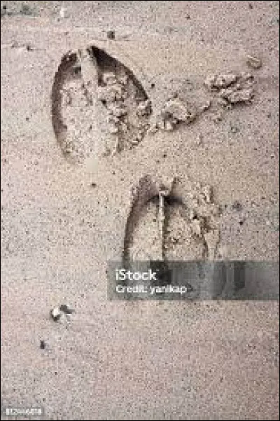 De tous il est le plus grand, peut nourrir une famille durant tout un hiver !