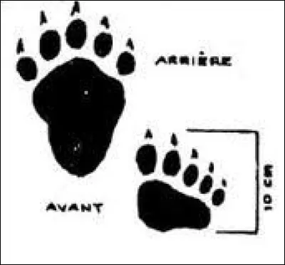 Trouvez le titre d'un conte !