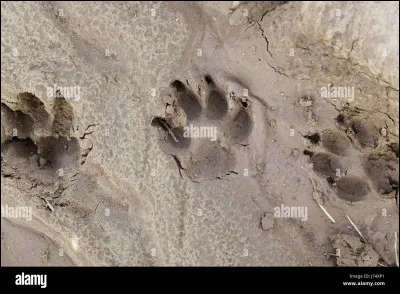 Se faire traiter de son nom n'est pas glorieux !