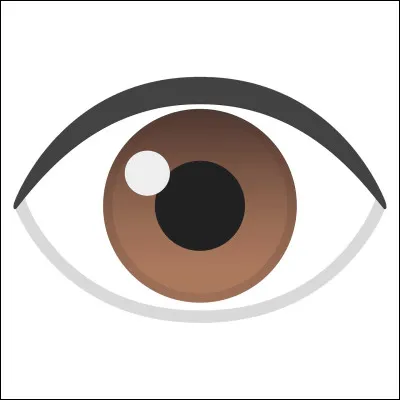 De quelle couleur sont tes yeux ? -1