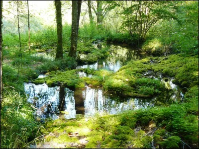 Si tu devais choisir un chemin parmi ces quatre-là, lequel choisirais tu ?