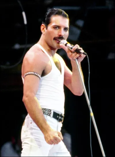 Quand Freddie Mercury est-il mort et de quelle année cette photo date-t-elle ?