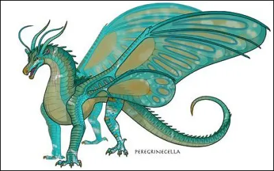 Quelle est ta plus grande force ?