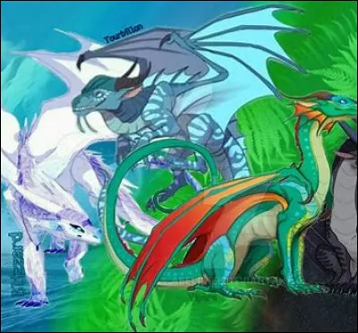 Quel est ton rapport avec les autres ?