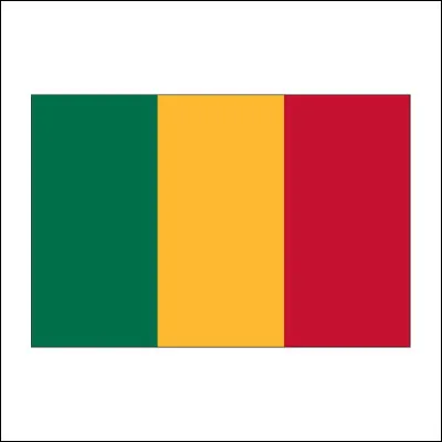 C'est le drapeau du Mali :