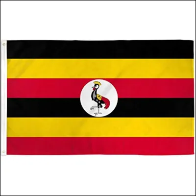 C'est le drapeau du Zimbabwe :