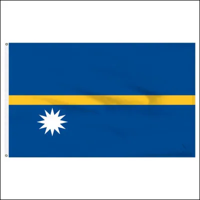 C'est le drapeau de Nauru :