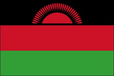 C'est le drapeau du Malawi :