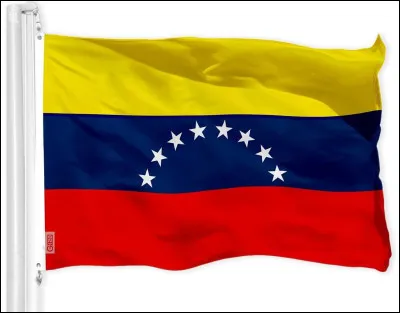 C'est le drapeau du Venezuela :