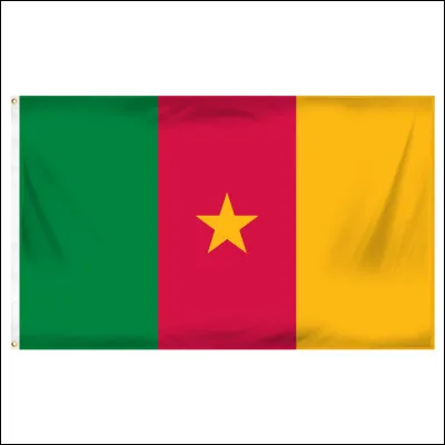 C'est le drapeau du Cameroun :