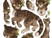 Quiz Qui est le personnage mystre ? LGDC