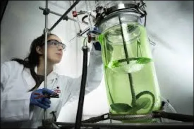 Combien de radioisotopes poss&egrave;de-t-il ?