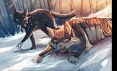 Laquelle ressemble à Fléau ?