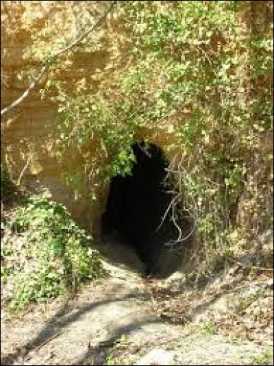 Elle a une tanière à elle toute seule.