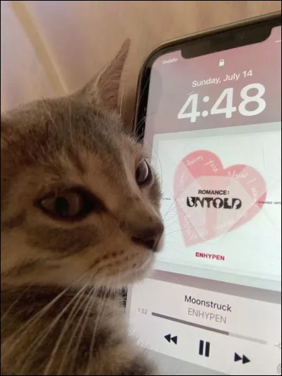 Quel est le nom officiel des fans d'Enhypen ?