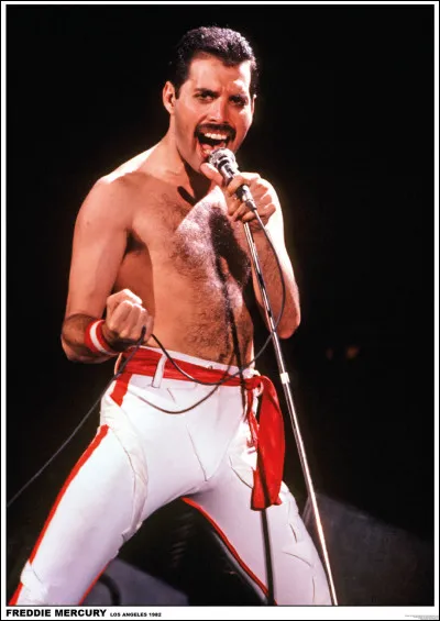 Pour quelle raison le chanteur de Queen, Freddie Mercury, nous a-t-il malheureusement quittés ?