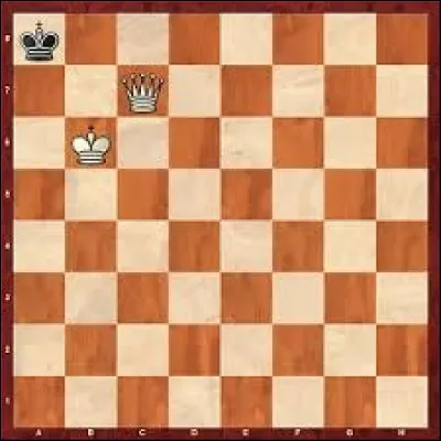 Si une partie se termine par un pat, qui remporte la partie ?