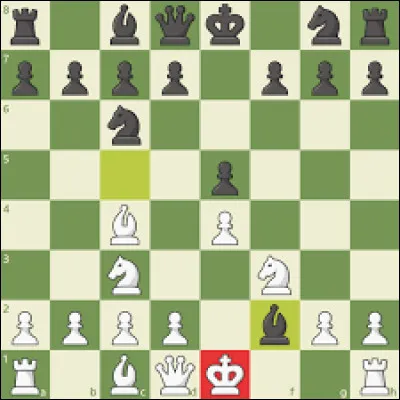 Si le roi adverse est mis en échec, nous remportons alors la partie.