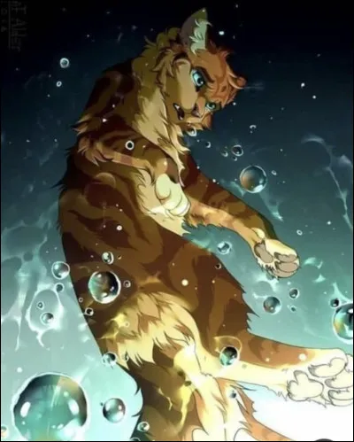 Qui est le frère de Plume de Faucon ?