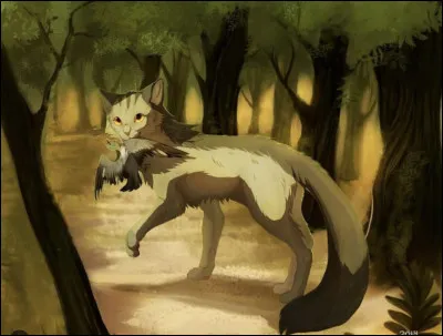 Qui est le personnage mystère ?