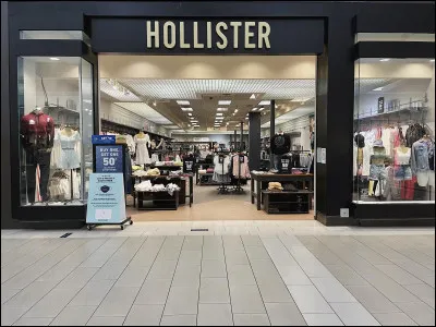 Quel oiseau est le logo de la marque Hollister ?