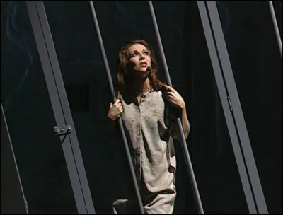 De quelle comédie musicale est extraite la chanson Les oiseaux quon met en cage ?