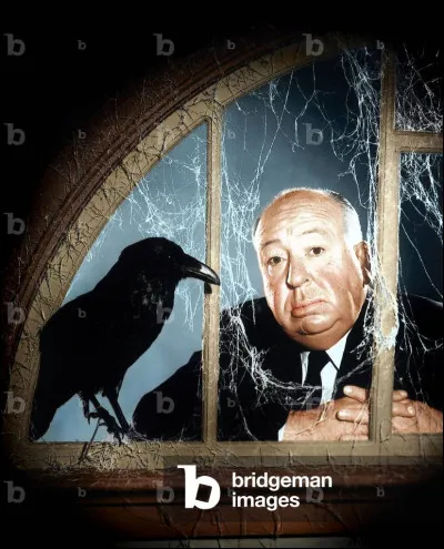 Dans Les Oiseaux dHitchcock, que se passe-t-il ?