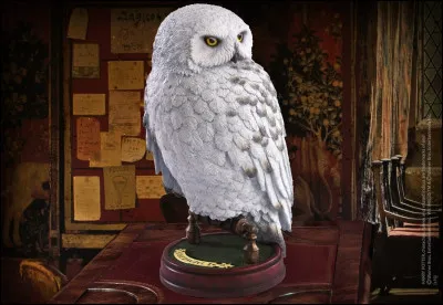 Dans Harry Potter, comment sappelle la chouette dHarry ?