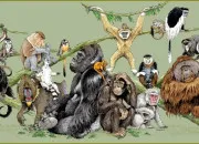 Quiz Animaux du monde