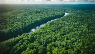 Dans quel continent se situe le Suriname ?