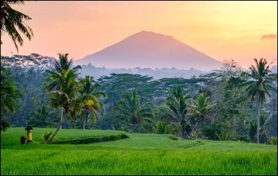 Sur quel continent se situe l'Indonésie ?