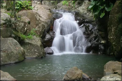 C'est sur "l'île papillon" que vous pourrez vous baigner dans la rivière Caillou !