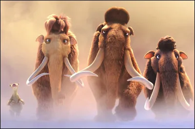 Tu as quel &acirc;ge ?