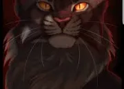 Quiz Connais-tu bien toile du Tigre ?