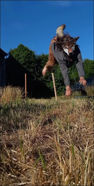 Agis-tu parfois comme un animal ?