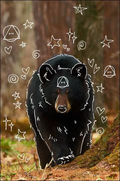 Ressens-tu une "connexion" avec un animal ?