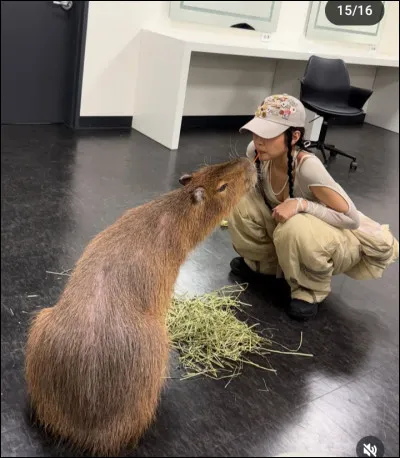 Pendant combien d'années a-t-elle été trainee chez YG ?