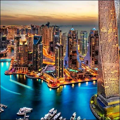 Quel terme générique désigne les forums internationaux sur la biodiversité et le climat, dont la 28e édition a eu lieu à Dubaï ?