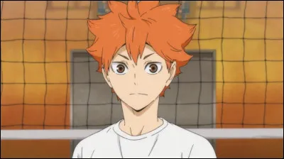 Pourquoi Shoyo Hinata a-t-il commencé le volley-ball ?