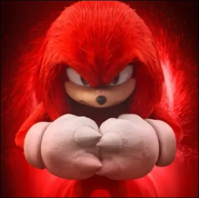 Qui est Knuckles ?