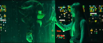 Dans 'Sonic 3', comment la fille que Shadow avait pour amie s'appelait-elle ?