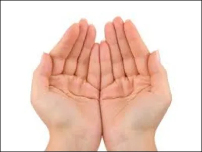 Du poignet vers la racine du médium, faites lire votre...