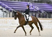 Quiz Le dressage