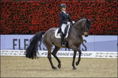 Où s'effectue le dressage ?