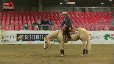 Le cheval porte-t-il des guêtres ?